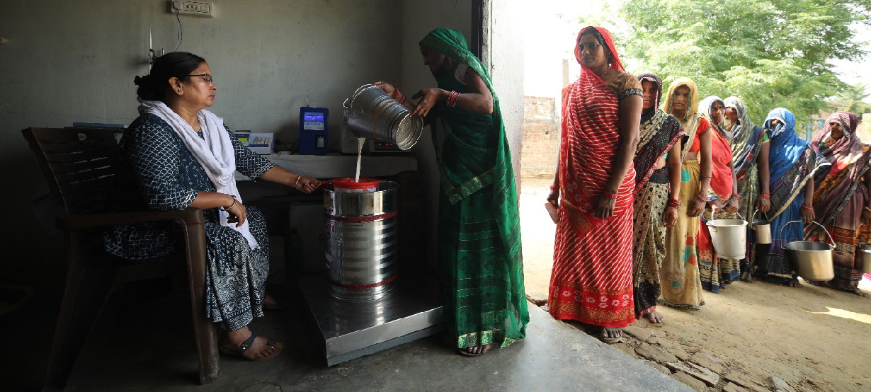 Women Dairy Farmers